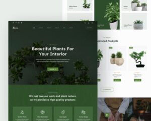 Custom Plants Store